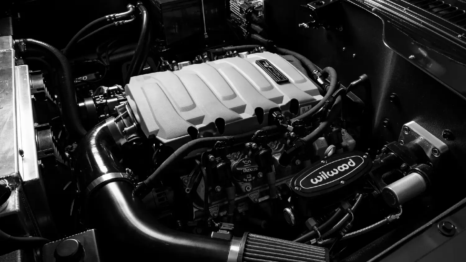 Velocity International Scout II